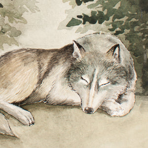 Sleeping In The Woods - Wolf